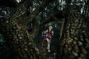 BIB: 
                            <button type="button" onclick="openModal(25678618)" class="btn btn-primary btn-sm float-right btn-popup" data-toggle="modal" data-target=".modal-high-quality">
                        <i class="fas fa-shopping-cart"></i> Add to Cart
                    </button>
                                            <button type="button" onclick="isThisMe(25678618, true)" class="btn btn-success btn-sm float-right btn-popup btn-isme hidden" data-toggle="tooltip" data-placement="bottom" title="นี่คือรูปของคุณใช่ไหม คลิกที่นี่เพื่อเอาเข้าอัลบั้ม">
                        <i class="fas fa-plus"></i> Add to album
                    </button>
                    <button type="button" onclick="isThisMe(25678618, false)" class="btn btn-warning btn-sm float-right btn-popup btn-isnotme hidden">
                        <i class="fas fa-ban"></i> Remove from album
                    </button>